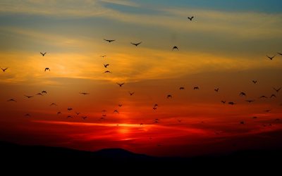 Les ententes difficiles