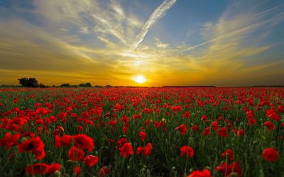 Evoquons les compatibilités affectives du moment.