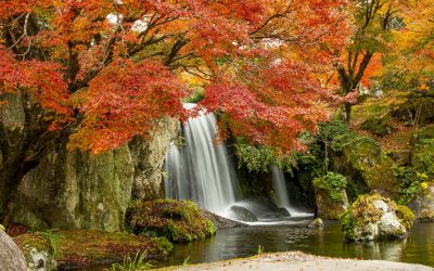 Terminons ce mois solaire avec les ententes difficiles de novembre