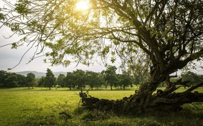 Le ciel de septembre