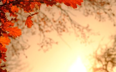 Le ciel d&rsquo;Octobre